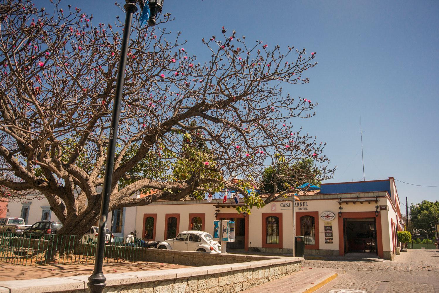 Hotel Casa Arnel Oaxaca Zewnętrze zdjęcie